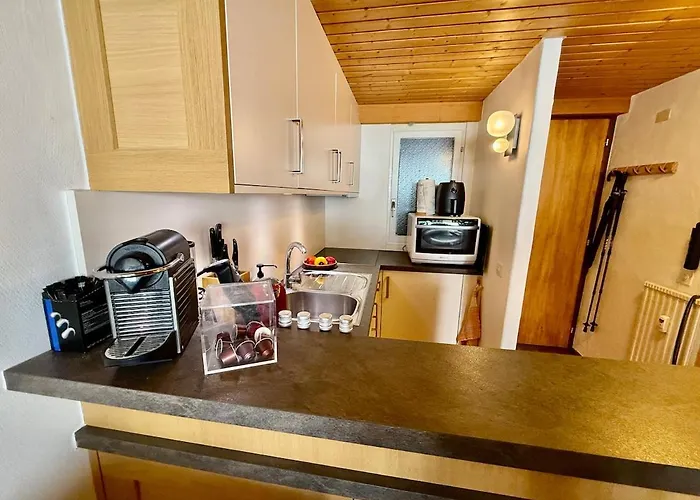 131 Warm For 4 People Apartamento Gryon